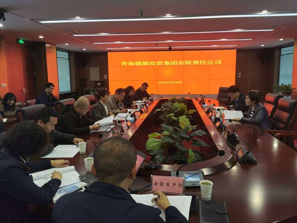 國資委領導調研.jpg